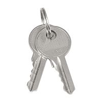 Ключ для замка (арт, 18-16/38-ip31) PROxima | код  key-2 | EKF